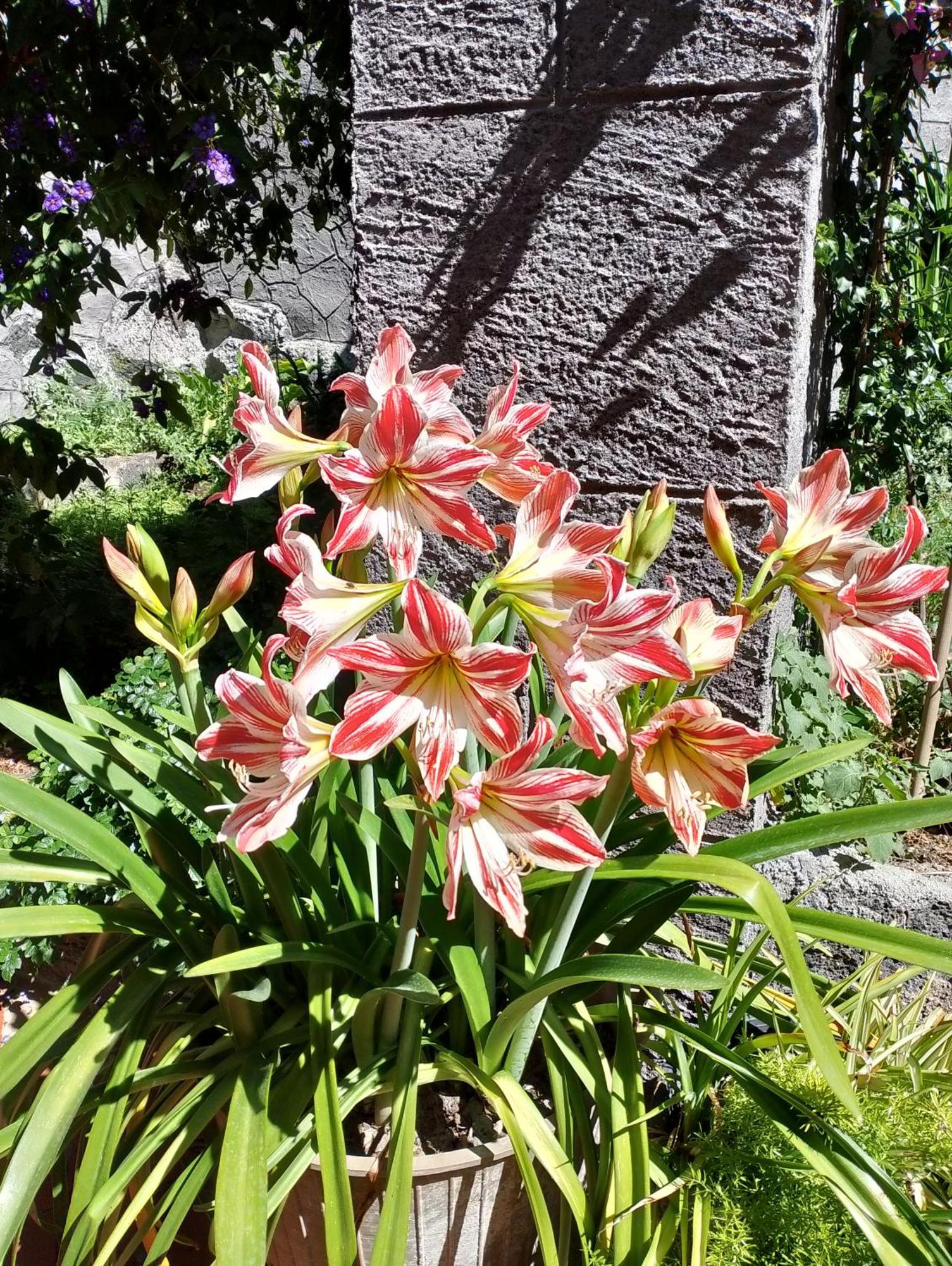 Casa Romeo Villa Adrano Kültér fotó